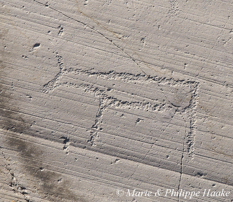 Alta 1301.jpg - Gravures rupestres d'Alta (Norvège, juin 2012)